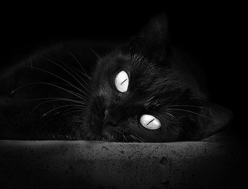 蒙特卡洛,红土风向标已倾斜?兹维列夫的横扫为法网投下巨大悬念