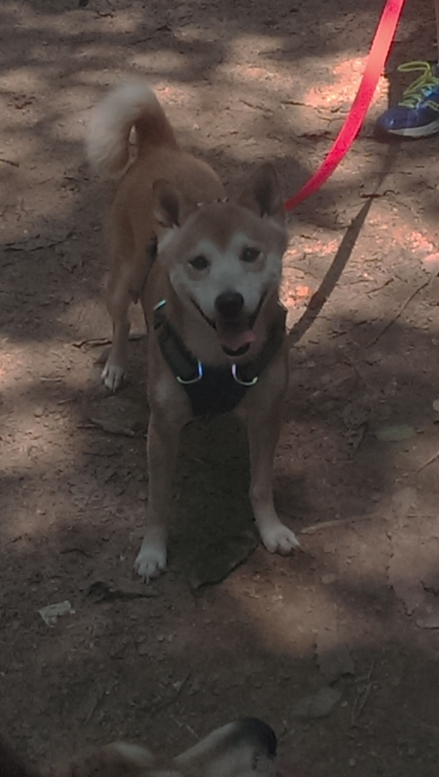 唯一之战，曼城横扫智利之夜，坎特如何一人扛起整片天空