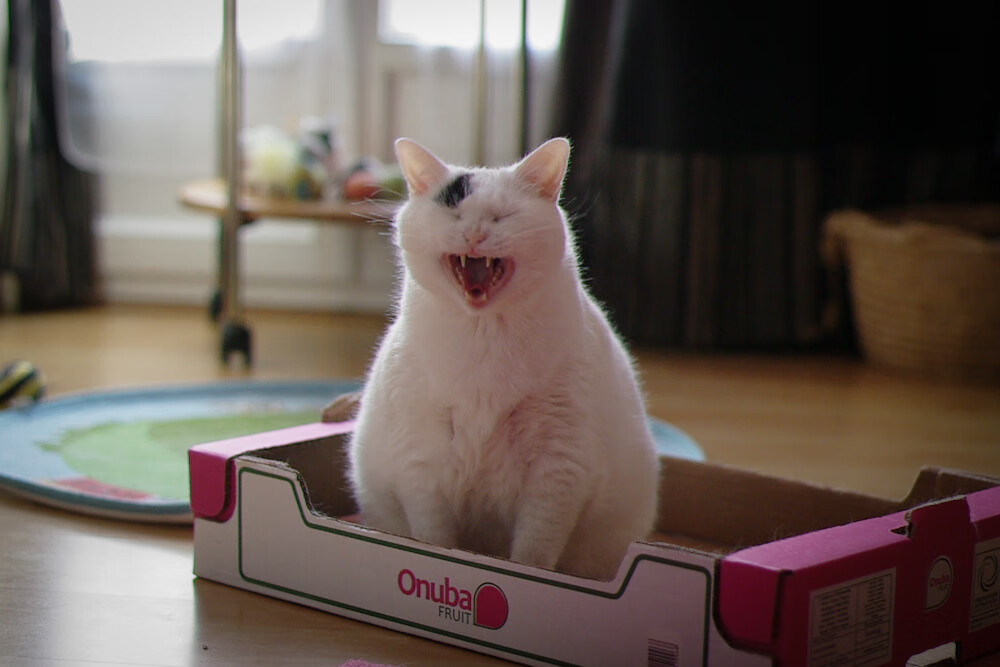 小贾伦成国王克星,魔术师的戏法与火箭的拆迁,一场个人秀与集体碾压