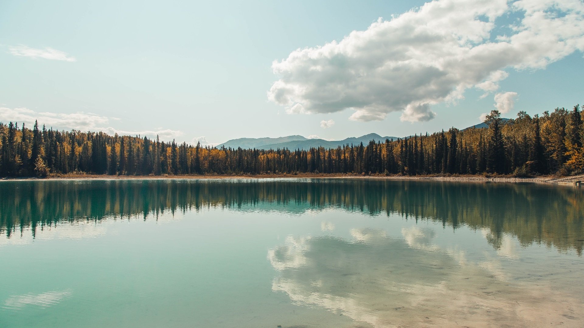 破晓伯纳乌,当角斗士掀翻银河战舰,特奥在关键回合从不手软