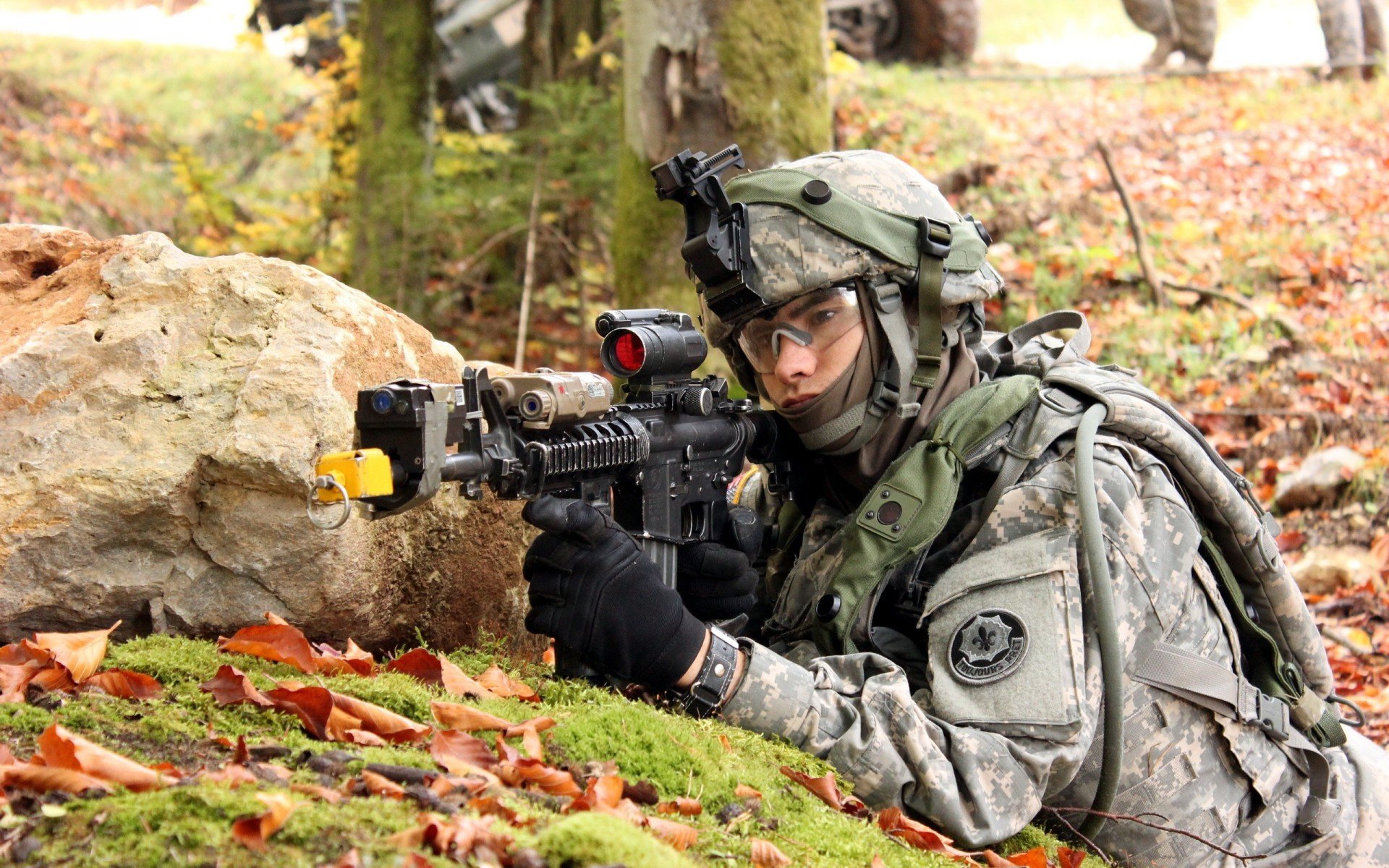 数据森林中的鹰，当算法失效时，胜利来自哪里？