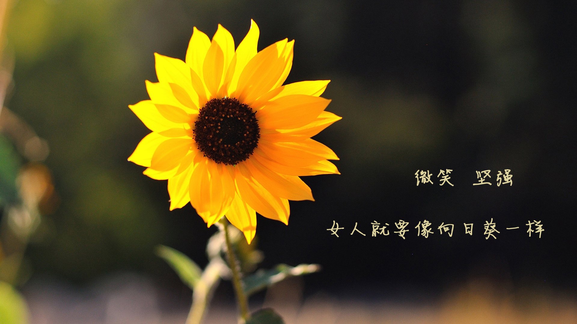 若日尼奥唤醒嗜血拜仁，德式铁蹄踏碎蓝月迷梦