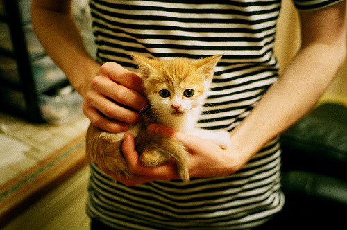 跨国大战的逆转狂潮,浙江队窒息式防守带走掘金,哈利伯顿末节统治力诠释关键先生