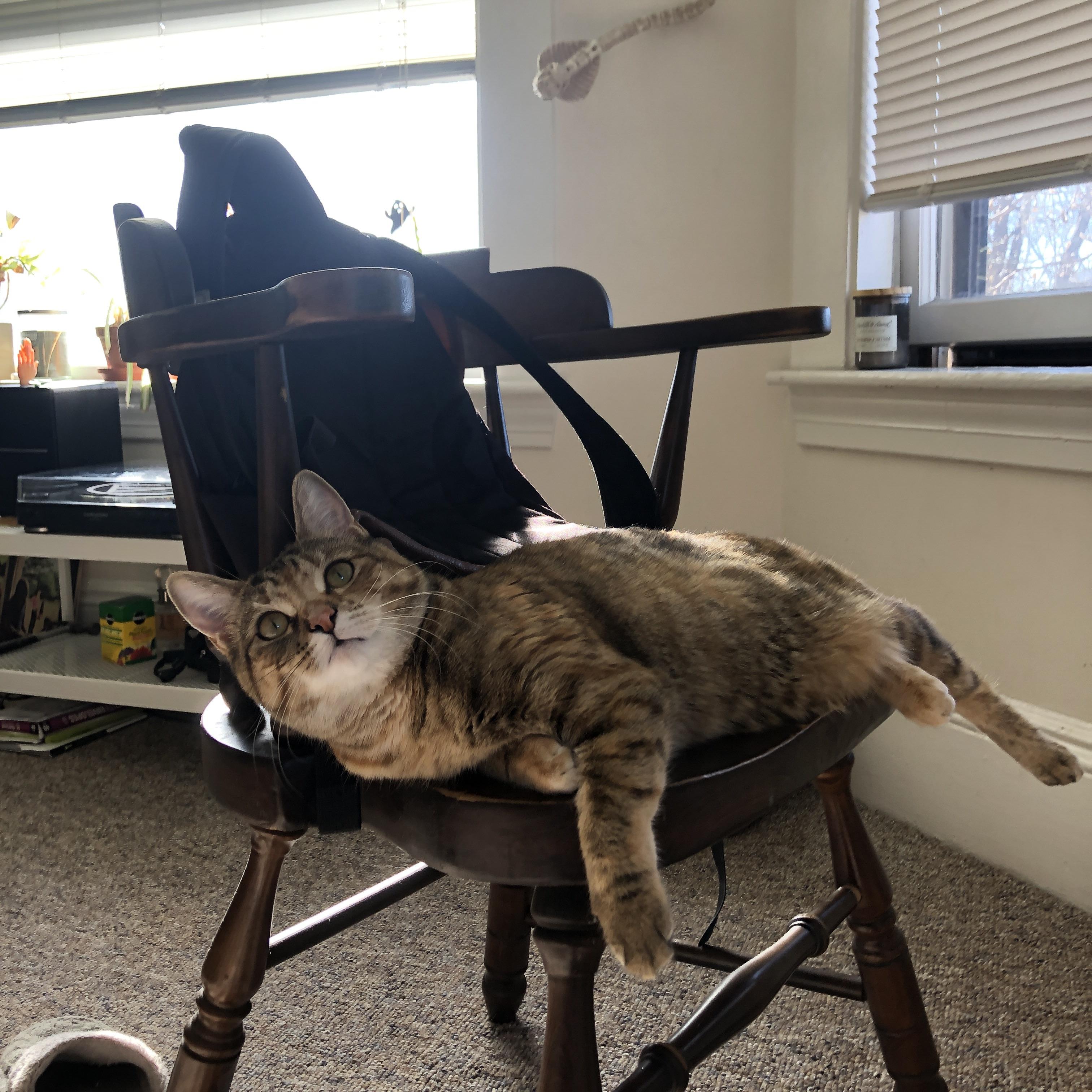 爱游戏入口-钢铁防线前的独舞，巴尔韦德如何让智利军刀斩落核弹头传人