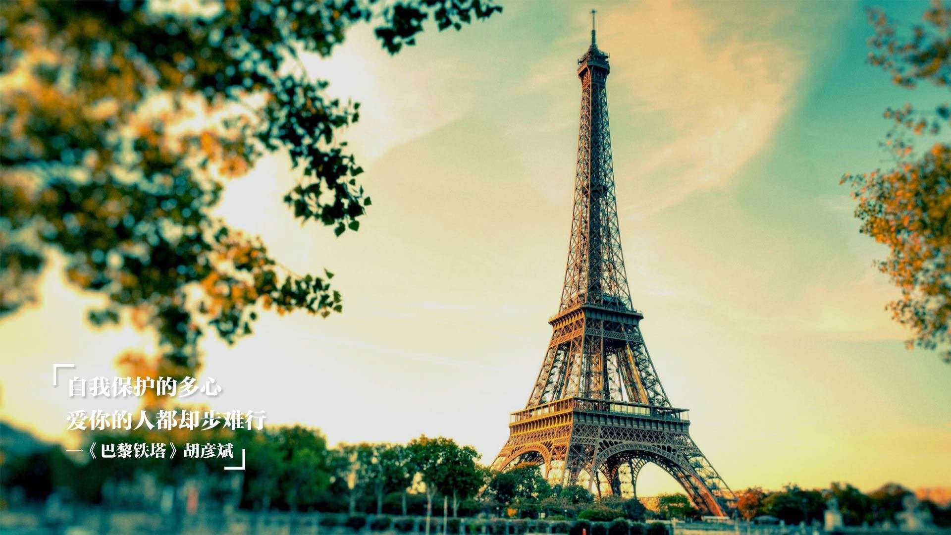 狼群撕碎印城防线，拉梅洛·鲍尔的手术刀与心跳声