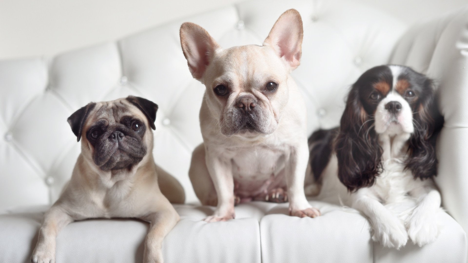 爱游戏入口-加时鏖战，孤星闪耀，巴雷拉以一己之力托起美国险胜几内亚