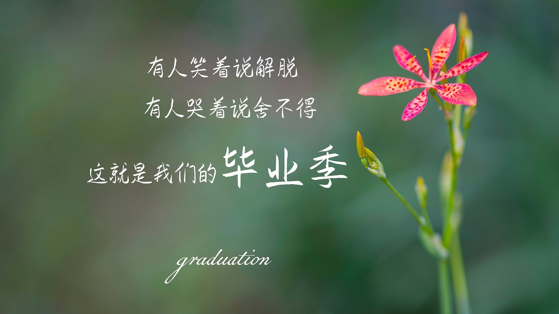 「节奏风暴，登贝莱撕裂卡塔尔防线，西班牙用唯一性写下争冠密码」