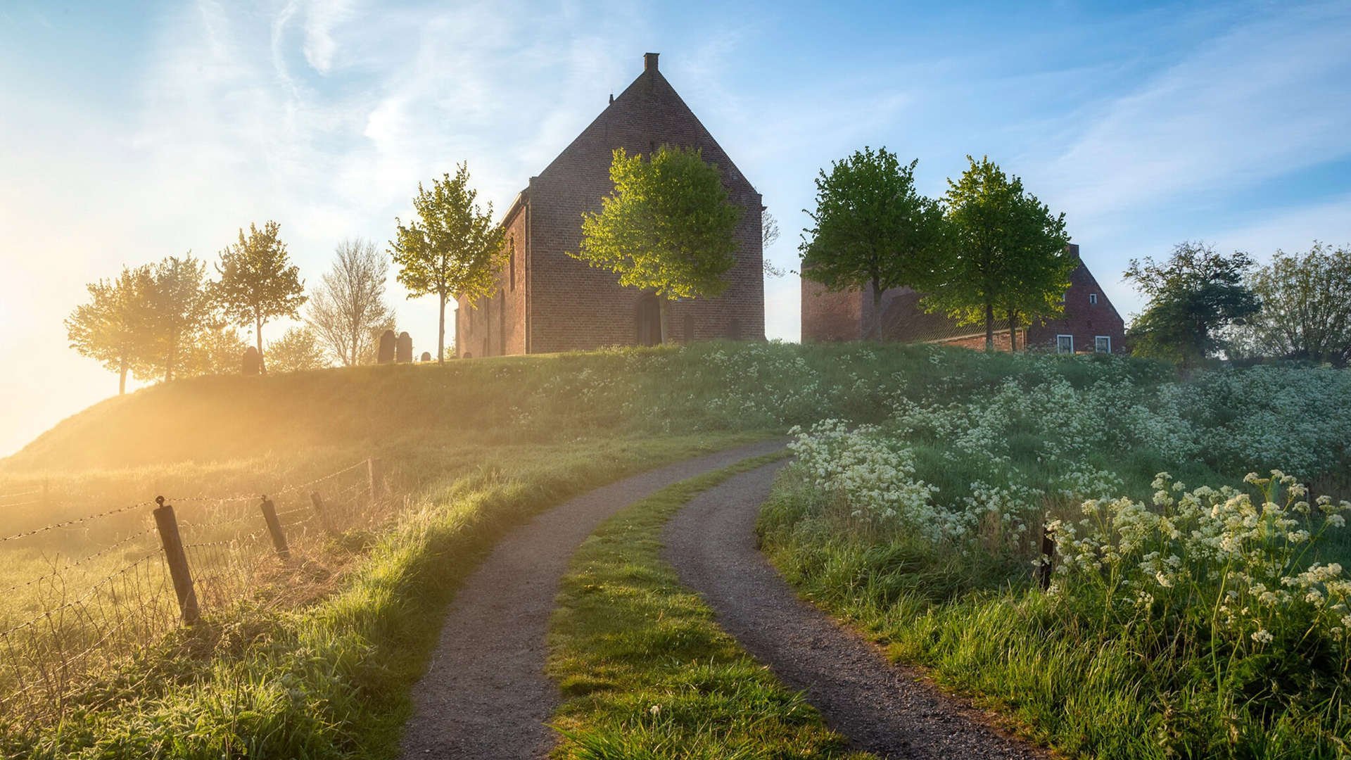 血战多哈，当安第斯雄鹰撕碎波斯铁骑，费利克斯用一脚凌空定义了2026的B组