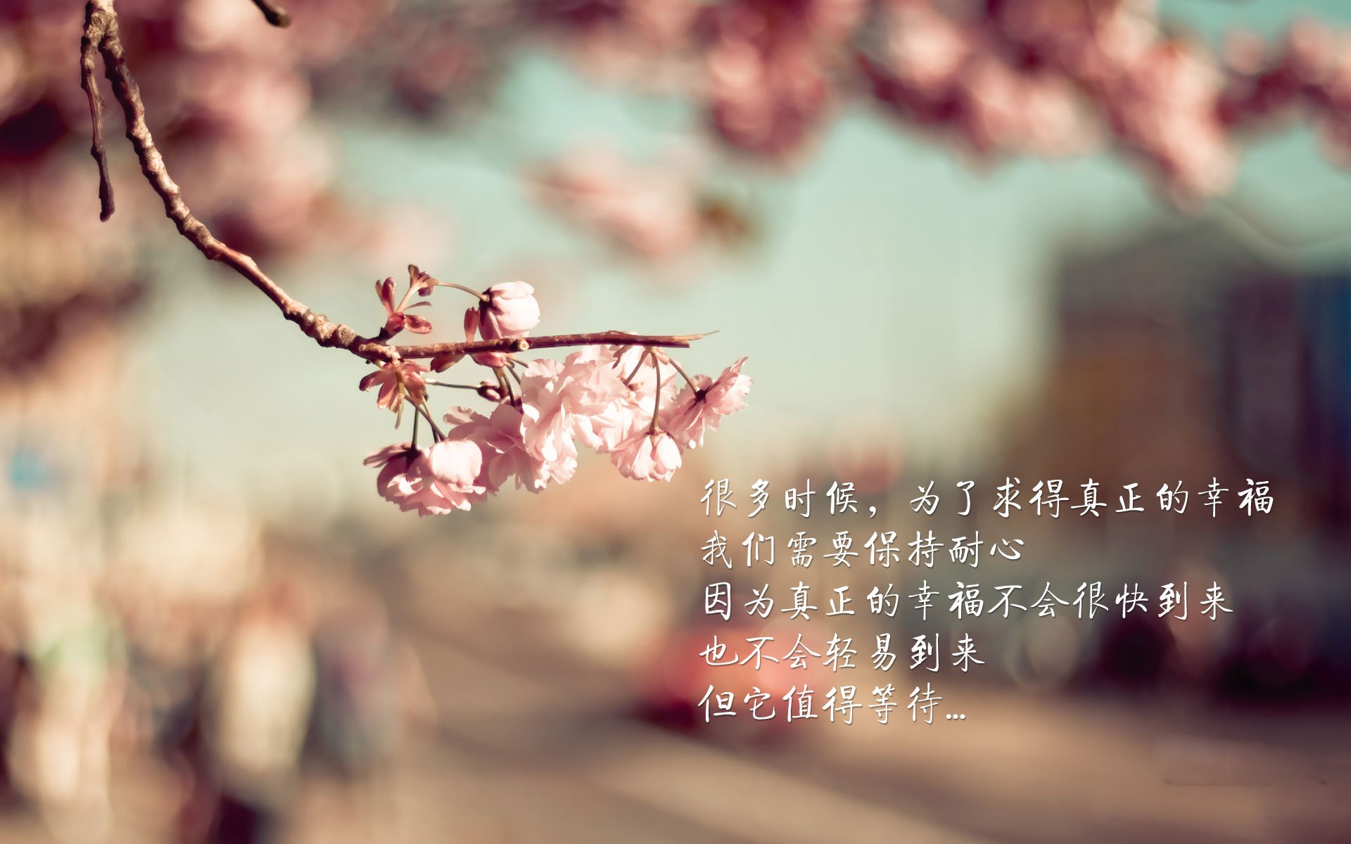 沙漠之狮怒吼纽约,2026世界杯H组,伊朗以血性与智慧击碎美国,萨卡照亮世界之巅