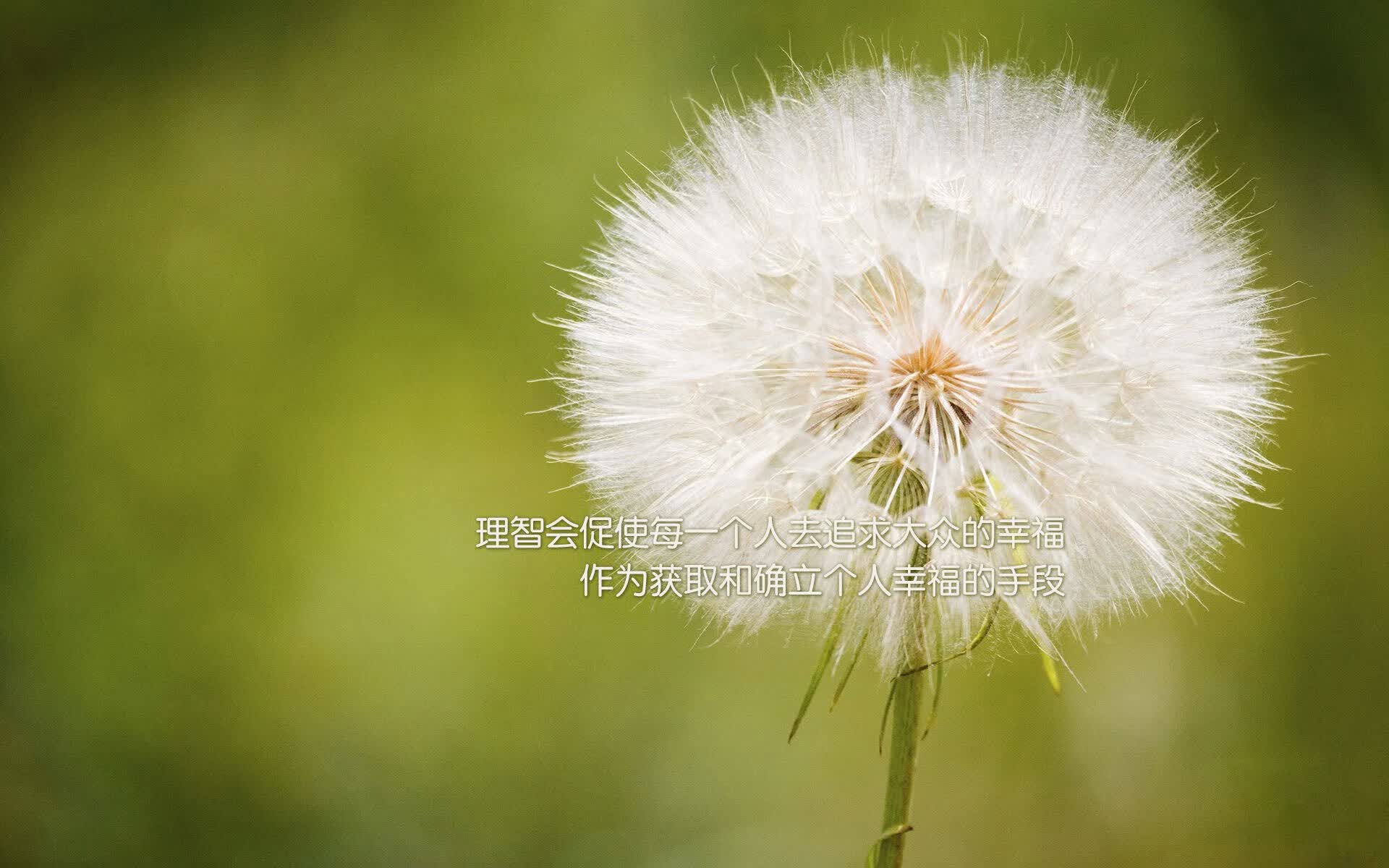 沙漠之狐的致命反击,2026世界杯A组关键战,摩洛哥2-1险胜哥伦比亚,京多安用防反哲学改写命运